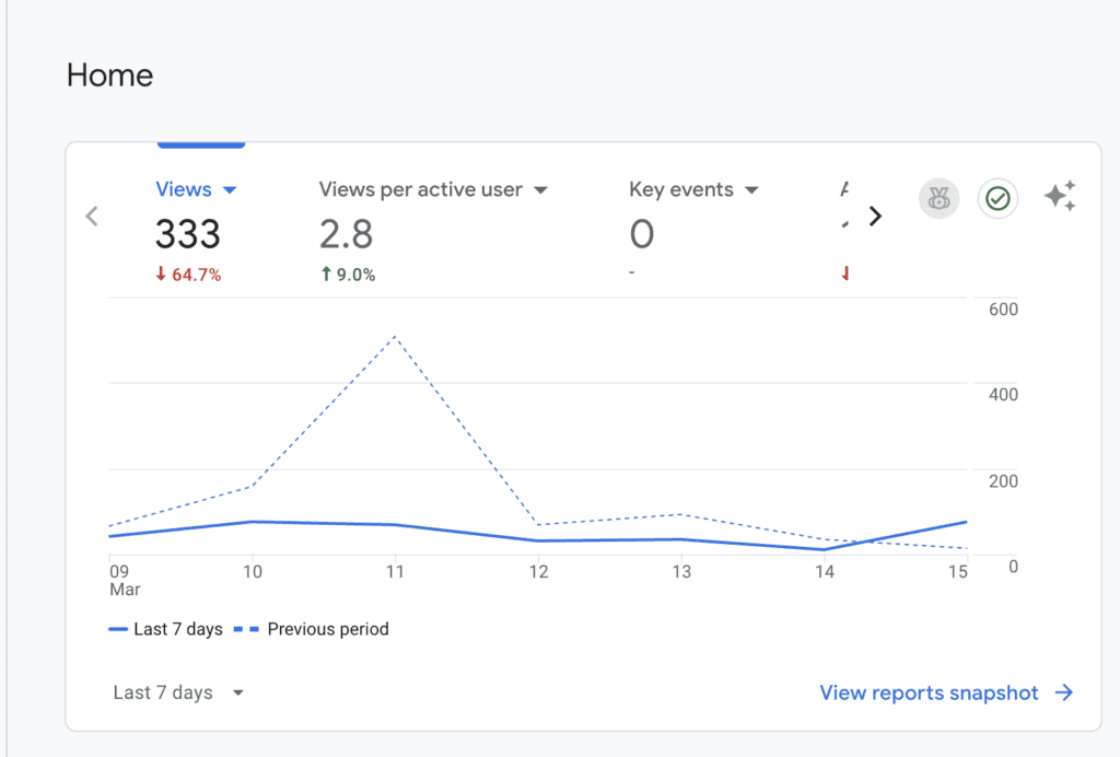 Google Analytics dashboard showing website traffic